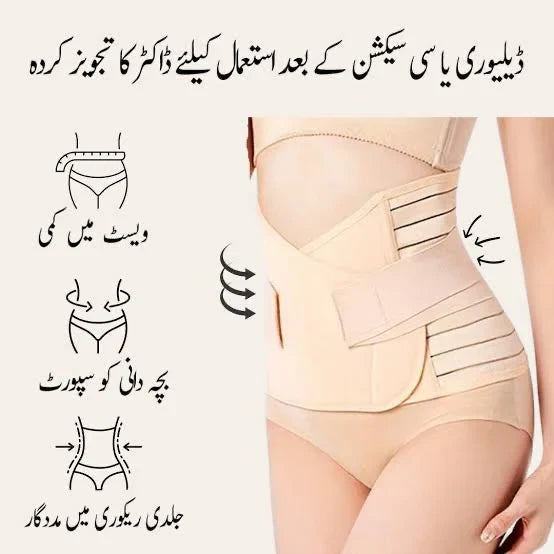 C Section Belt